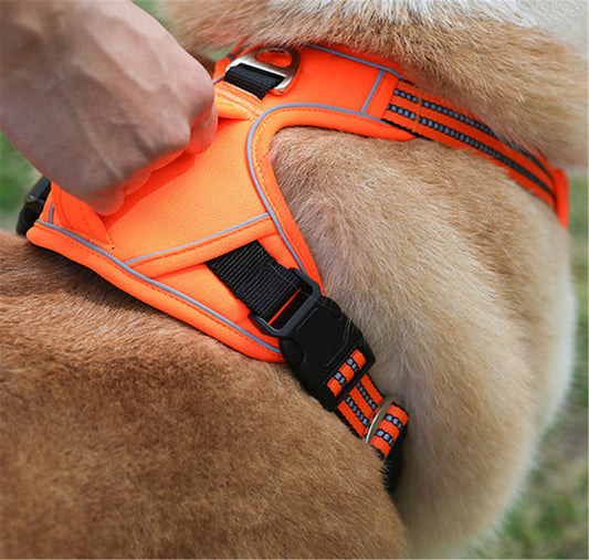 Ultimate Pet Harness